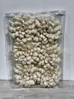 6 pc Football Mum Flower Heads 